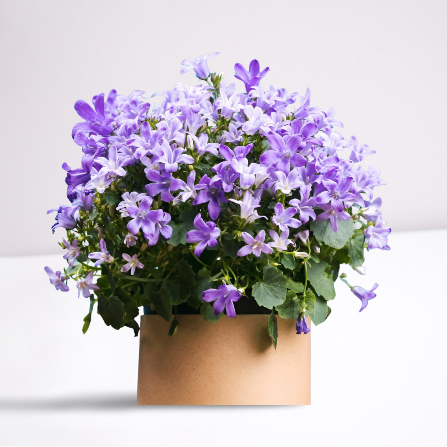 Lush Floral Bouquet